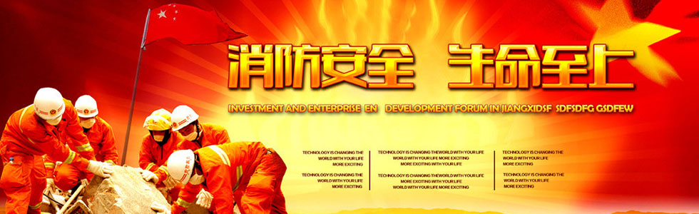 ������ȫ������������